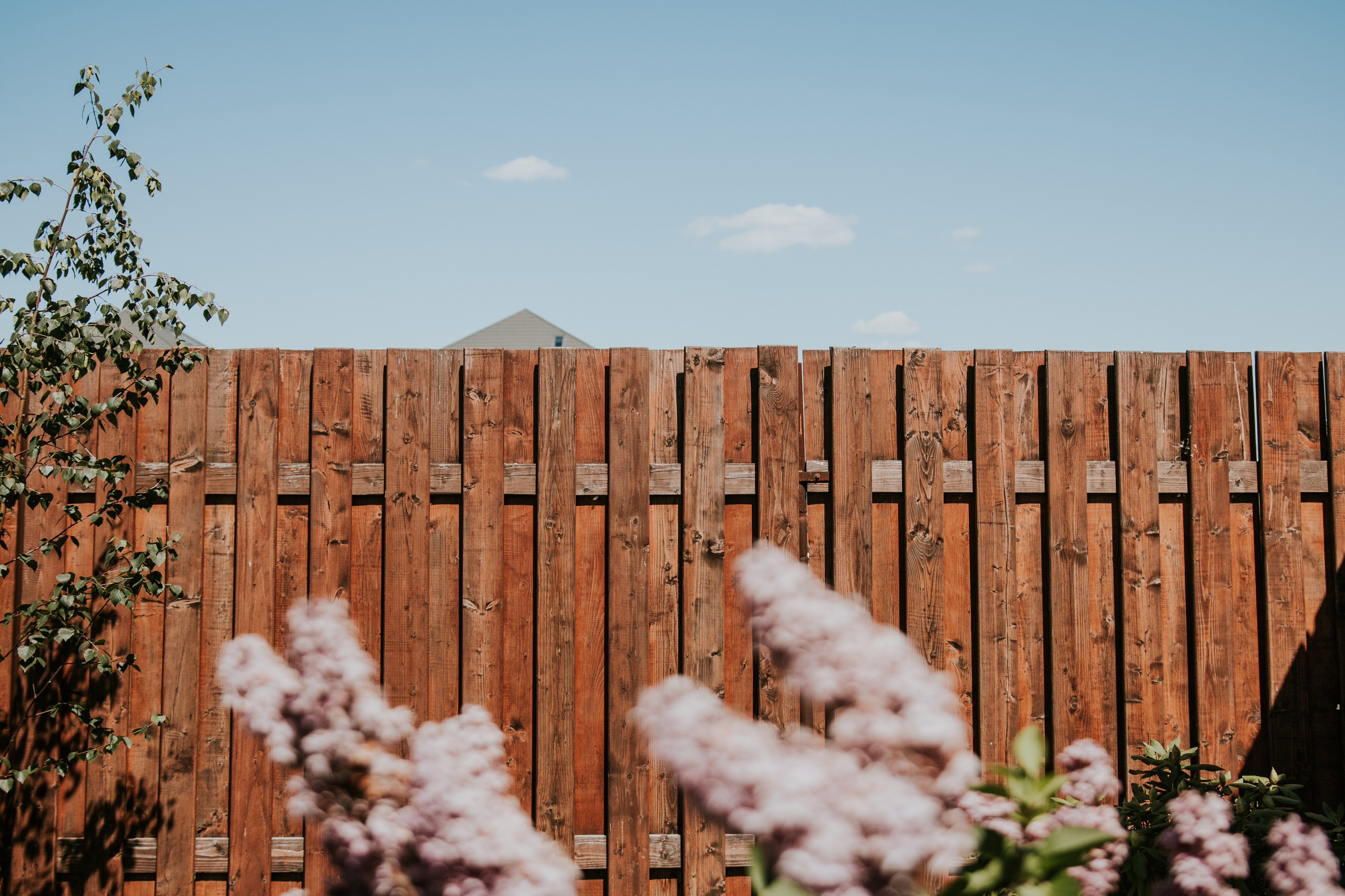 Cedar privacy fence against blue Texas sky in Fulshear