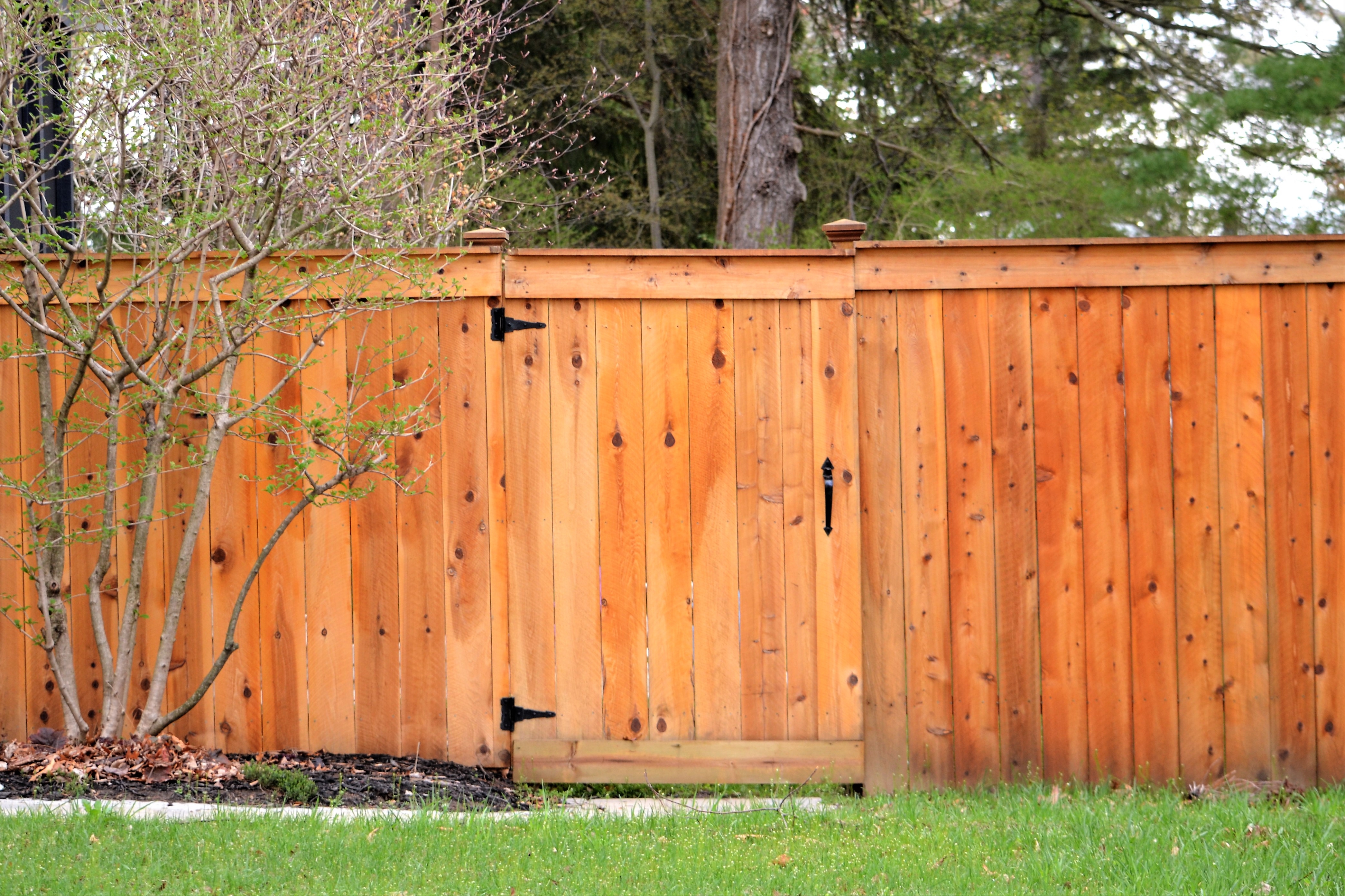 Cedar fence with gate in Fulshear TX residential neighborhood